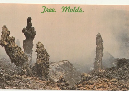 Vintage Unused Postcard: i: Tree Molds from Molten Lava, Hawaii