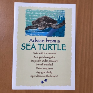 Sea Turtle Note Card