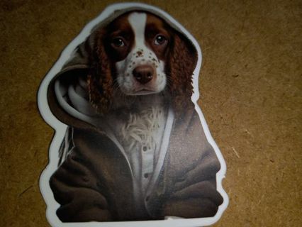 Dog Cute one vinyl sticker no refunds regular mail Win 2 or more get bonus