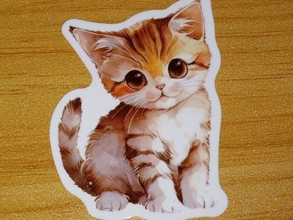 Cat new one nice vinyl lab top sticker no refunds regular mail high quality!