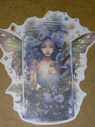 Beautiful new one nice vinyl lap top sticker no refunds regular mail very nice quality