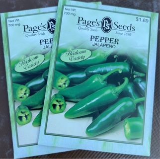 Jalapeño pepper seeds