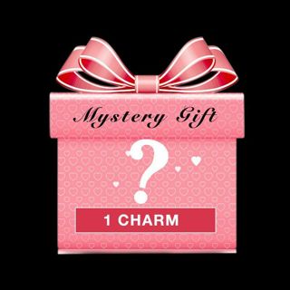 1 Mystery Charm