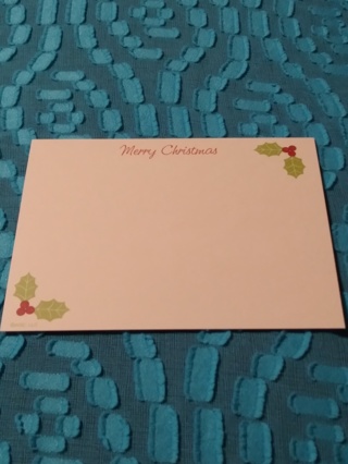 Christmas Notecard & Envelope - Holly