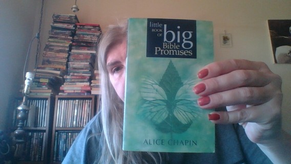 Little Book Of Big Bible Promises 