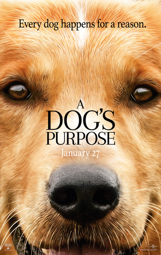 ✯A Dog's Purpose (2017) Digital HD Copy/Code✯