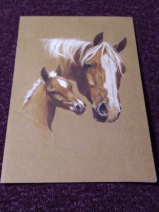 Horse Notecard & Envelope 