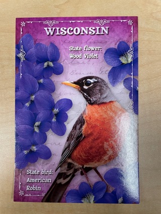 Wisconsin Bird & Flower Postcard