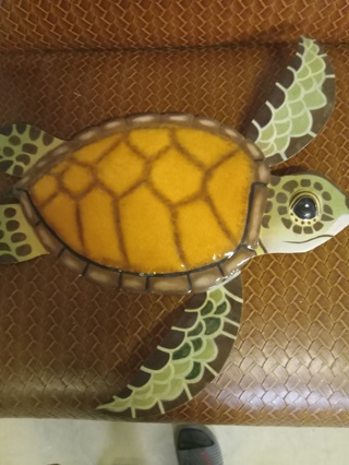 Turtle time 