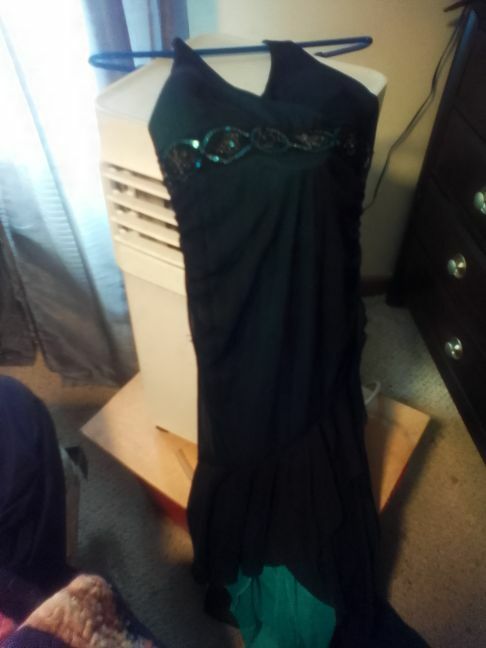 Free: Long and Flowing Fancy Dress