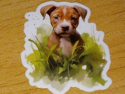 Dog one nice vinyl sticker no refunds regular mail only Very nice quality win 2 or more get bonus