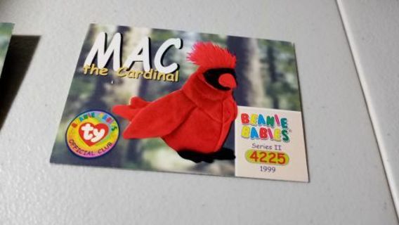 Mac the Cardinal.