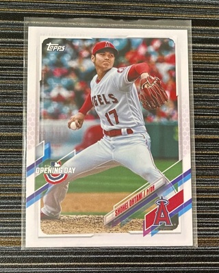 Shohei Ohtani