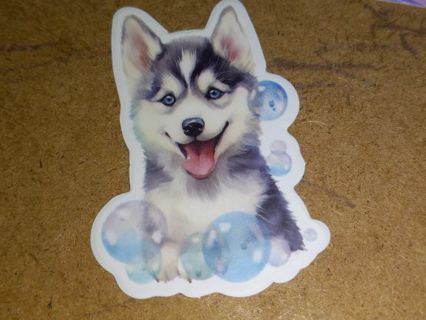 Dog Cute new one vinyl laptop sticker no refunds regular mail no lower very nice