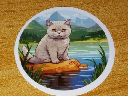 So Cute new one vinyl lap top sticker no refunds regular mail only very nice quality