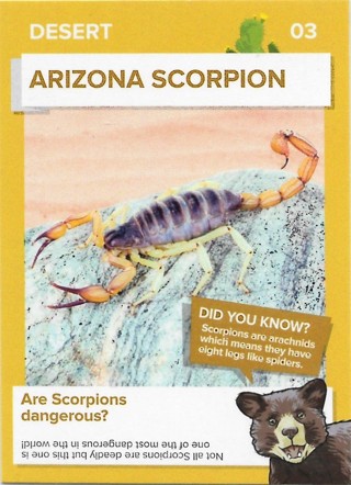 2016 Go Wild in the USA Desert #3 Arizona Scorpion