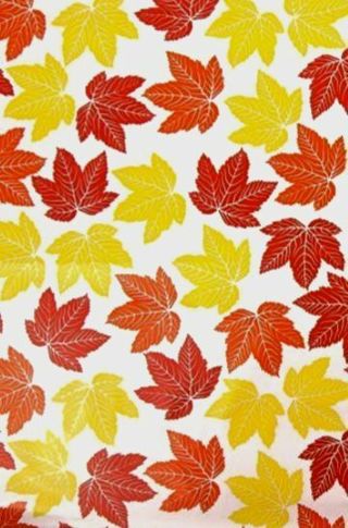 ➡️⭕(1) FALL LEAVES POLY MAILER 10x13"⭕