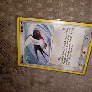 Pokemon card Taillow