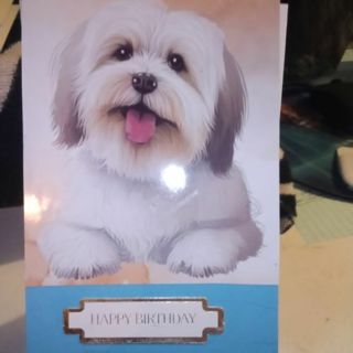 Happy Birthday (Sheep Dog) - Design Blank Note Card