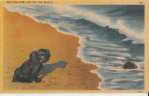 Vintage Unused Postcard: Linen: Waiting for You on the Beach