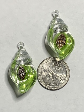 SEASHELL CHARMS~#15~GREEN~LARGE~SET OF 2 CHARMS~GLOW IN THE DARK~FREE SHIPPING!