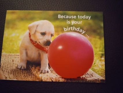 Puppy Birthday Card - Humane Society