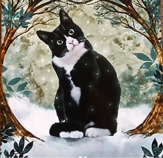 TUXEDO CAT - 3 x 3” MAGNET - GIN ONLY