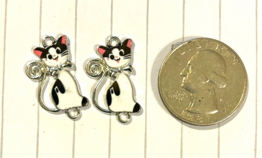 2 pc charms