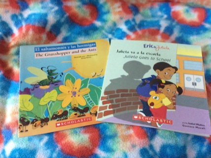 Spanish/English  children’s book lot