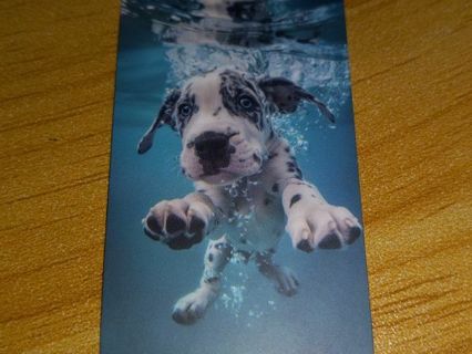 Puppy Cute new one vinyl sticker no refunds regular mail only Very nice these are all nice