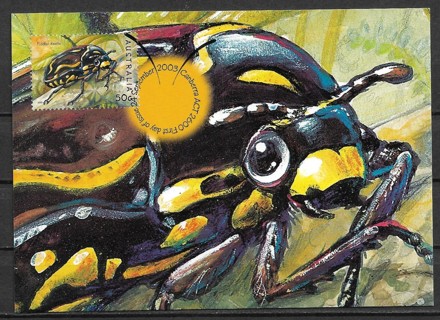 2003 Australia Sc2191 fiddler Beetle maxi card