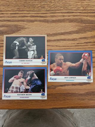 1991 KAYO Boxing trading cards