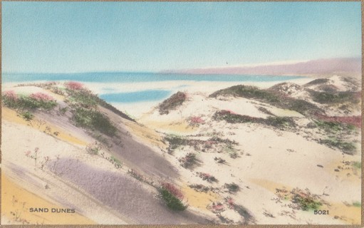 Vintage Unused Postcard: k: Sand Dunes