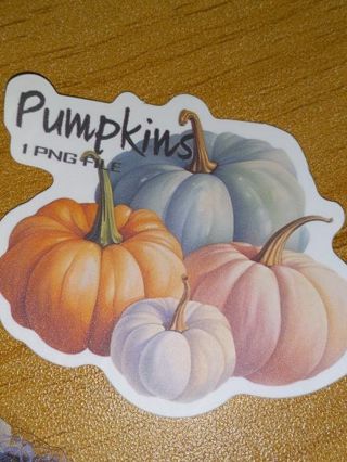 Fall one Cute vinyl sticker no refunds regular mail Win 2 or more get bonus