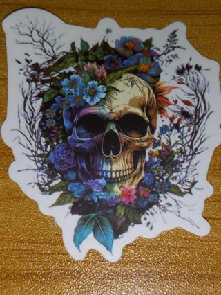 Pretty new one vinyl lap top sticker no refunds regular mail very nice quality