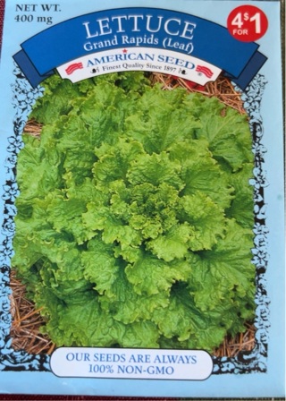 American Seed Lettuce Seeds