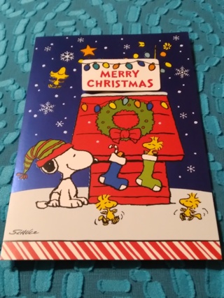 PEANUTS Merry Christmas Card 