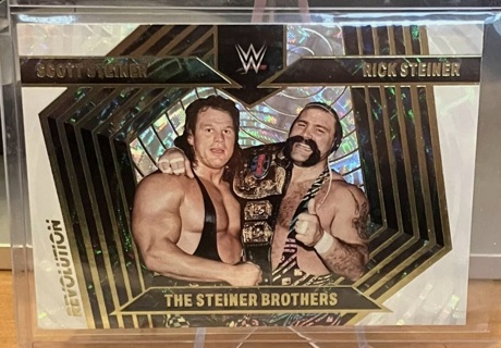 2023 WWE Revolution - Steiner Brothers Holofoil Card #133 NM