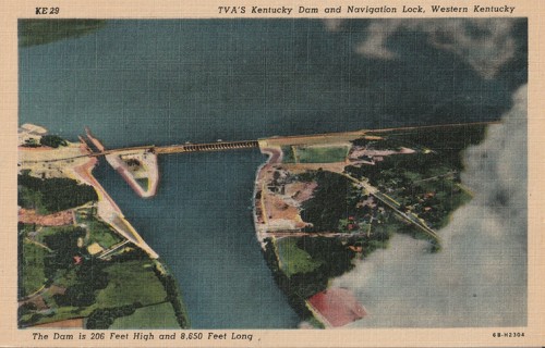 Vintage Unused Postcard: gin: Kentucky Dam