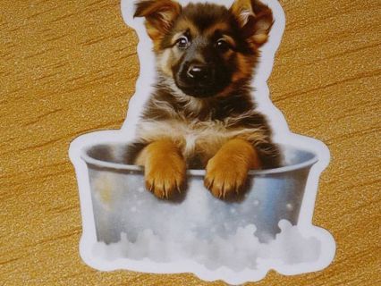 Dog Cute one new nice vinyl sticker no refunds regular mail only Very nice quality