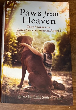 Paws from Heaven-True Stories 