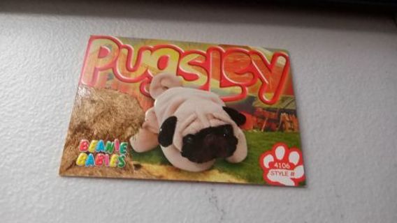 Pugsley the Pug