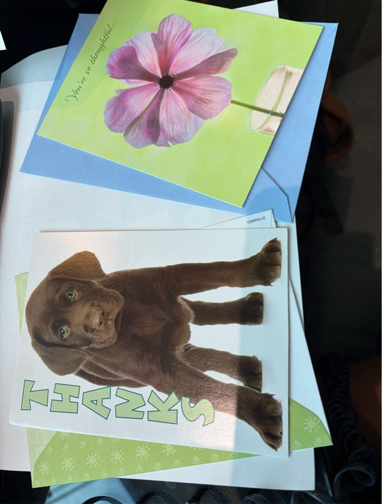FREE: Lot of Two THANK YOU greeting cards- w/ envelopes