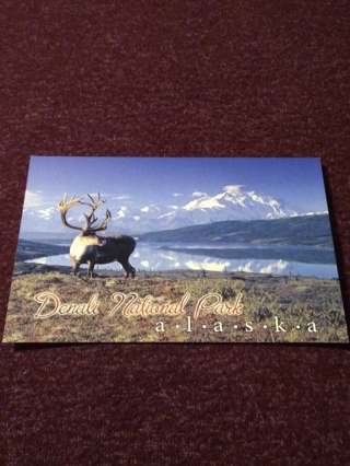 DENALI NATIONAL PARK POSTCARD 