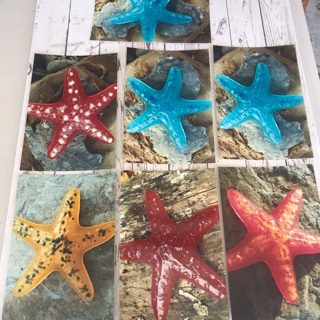 Scrapbook Paper Crafts Glass Starfish Photos Card Making, free mail