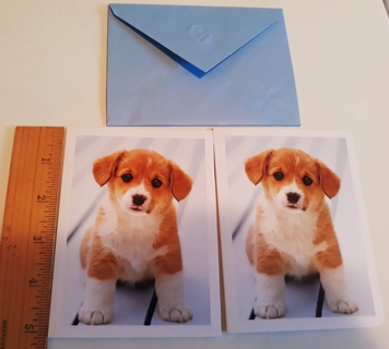 2 Cute Dog Notecards (with Envelopes)