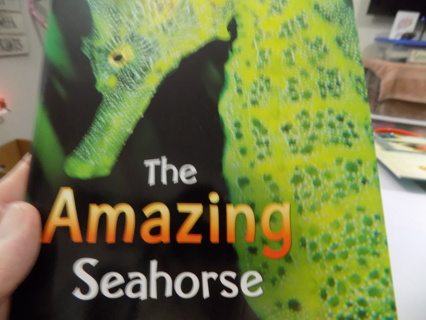 The Amazing Seahorse by Andrea Yound