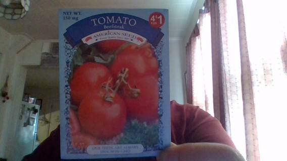 tomato seeds -beefsteak