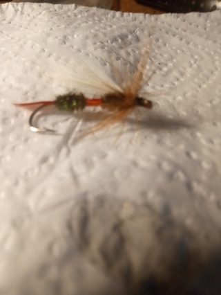 Fishing Fly