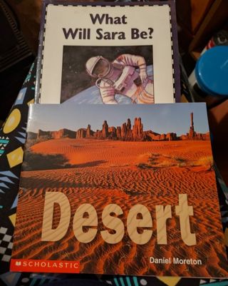 2 Books What Will Sara Be and Dessert